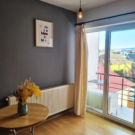 Studio Miro Апартаменти Клуж-Напока